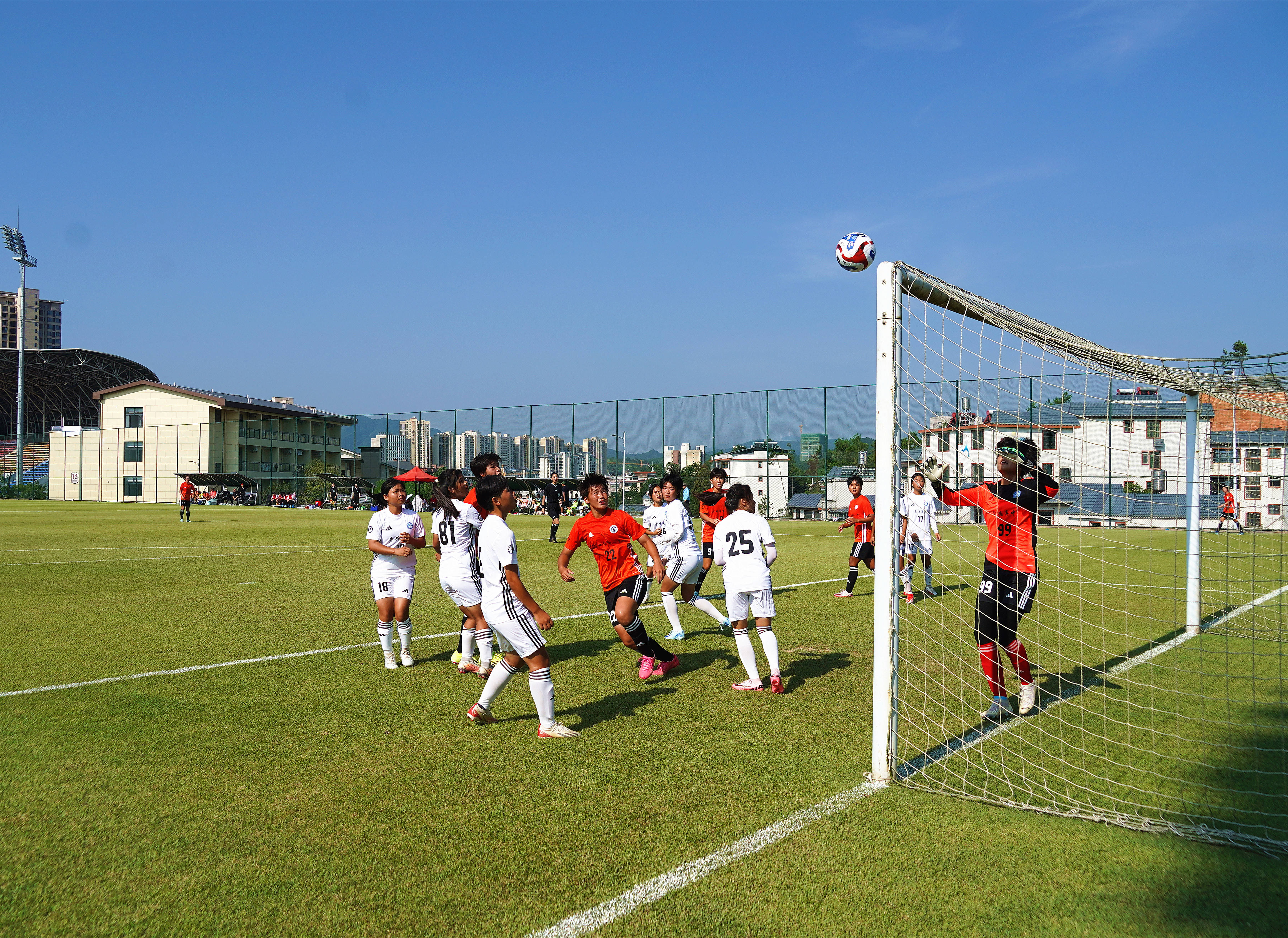 包含欧洲足球盛事激烈角逐，拼搏展现真谛的词条